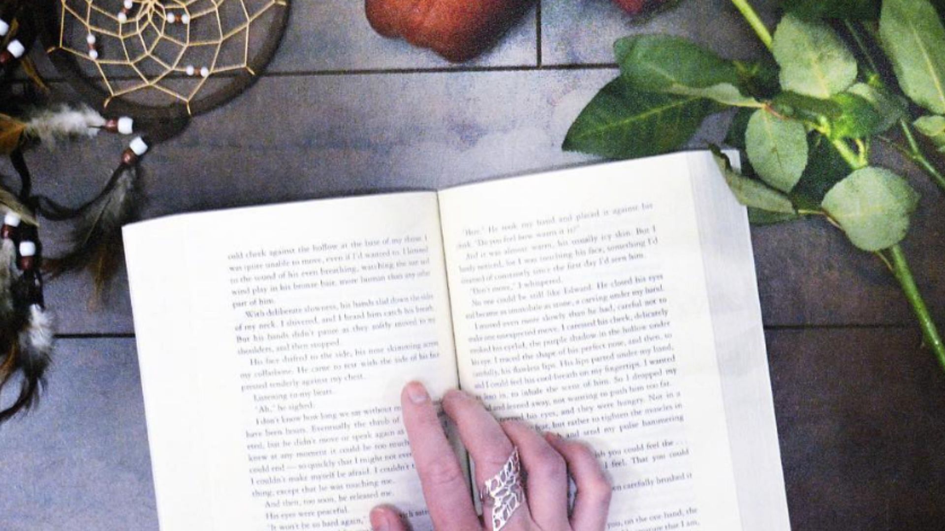 A poster of the titular book (Image via Instagram/@twilight)
